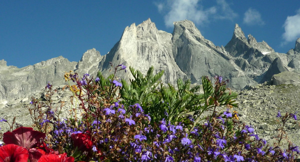 Bergell Sciorahütte